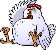 OnlyChicken