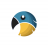 BirdWings