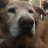 elisabeths_