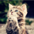 Scripter_TV