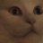 Zelyr