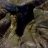___Apollos_Creed