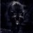 TheDarkWolf179