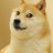 Dodge_The_DOGE